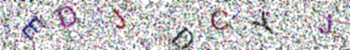 verification image